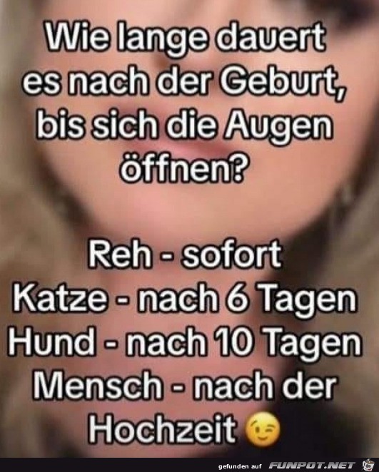 Die Augen ffnen