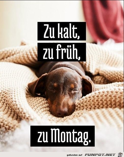 Montag