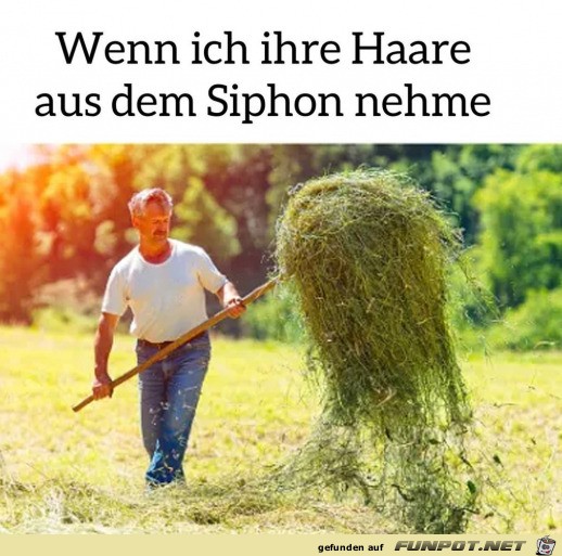 Ihre Haare aus dem Siphon