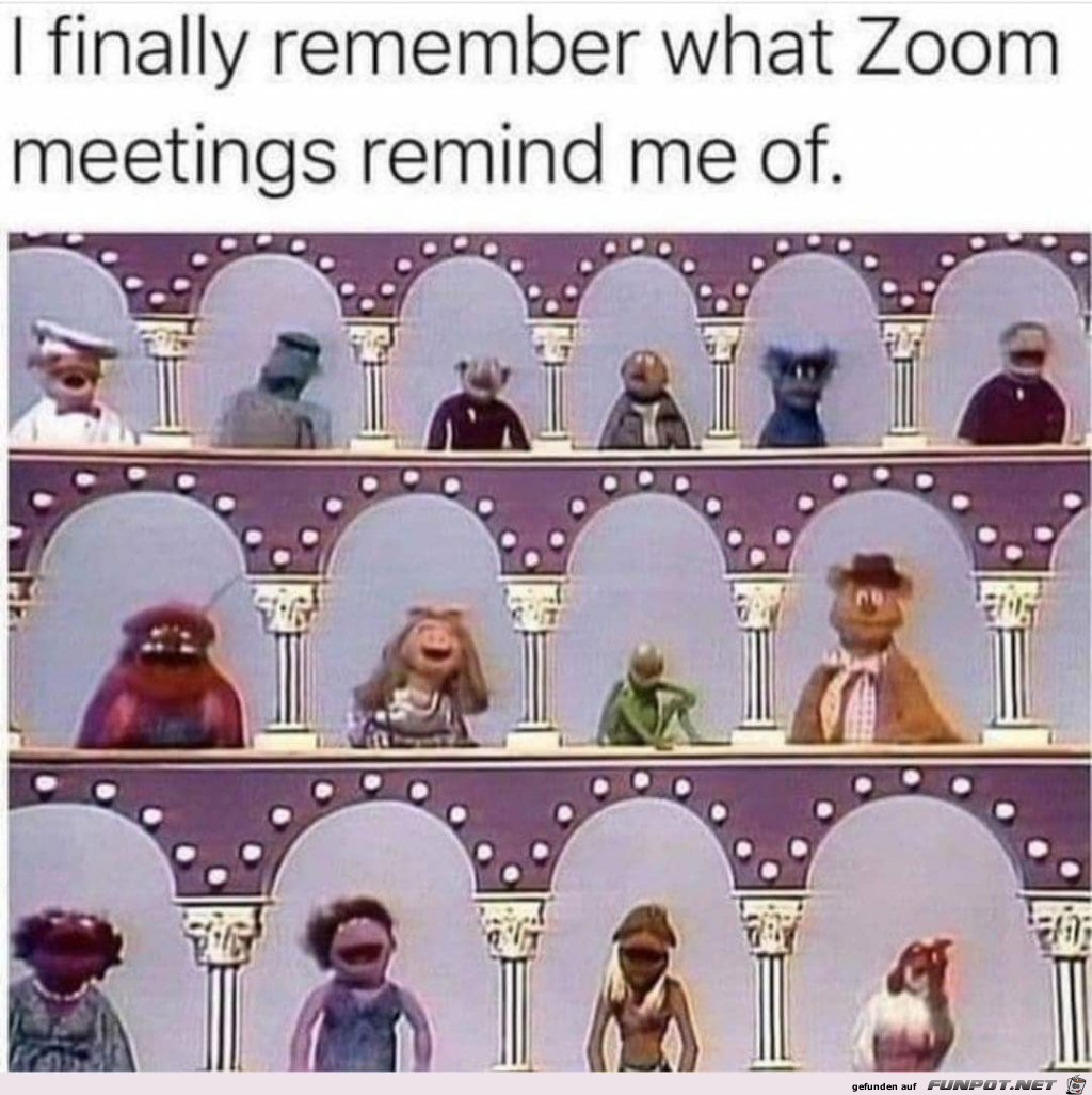 Zoom-Meetings