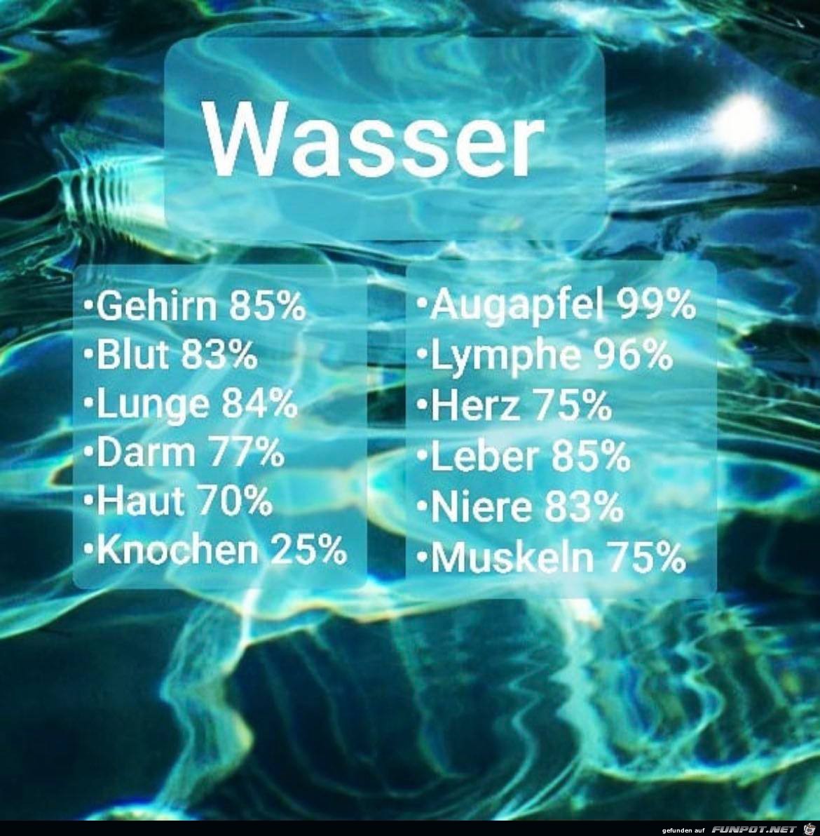 Wasser