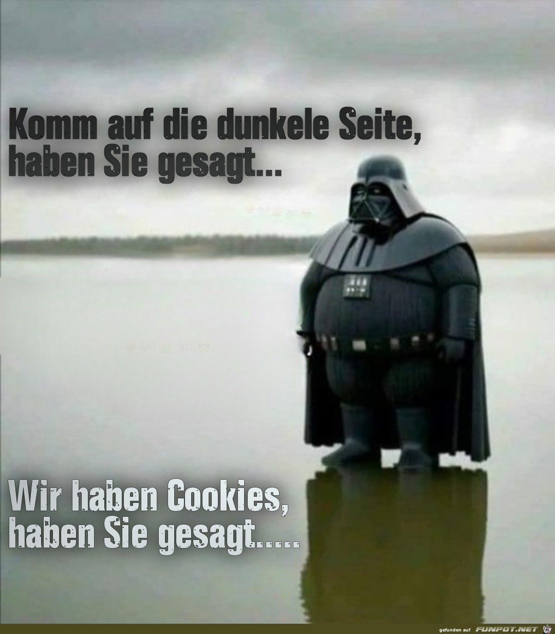 Cookies