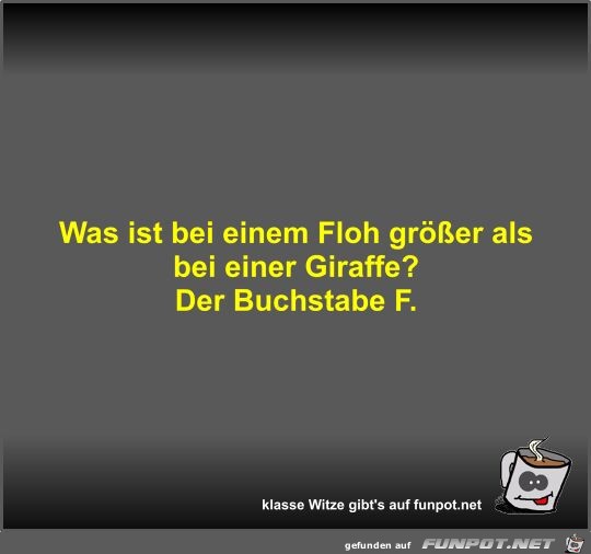 Was ist bei einem Floh größer als bei einer Giraffe? Was ist bei einem Floh größer als bei einer Giraffe?