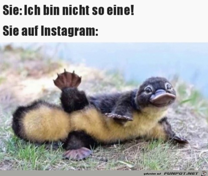 Nicht so eine