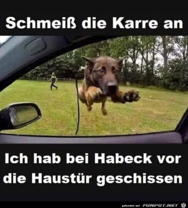 Schmei die Karre an