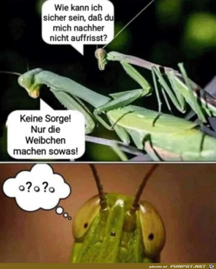 Und jetzt?