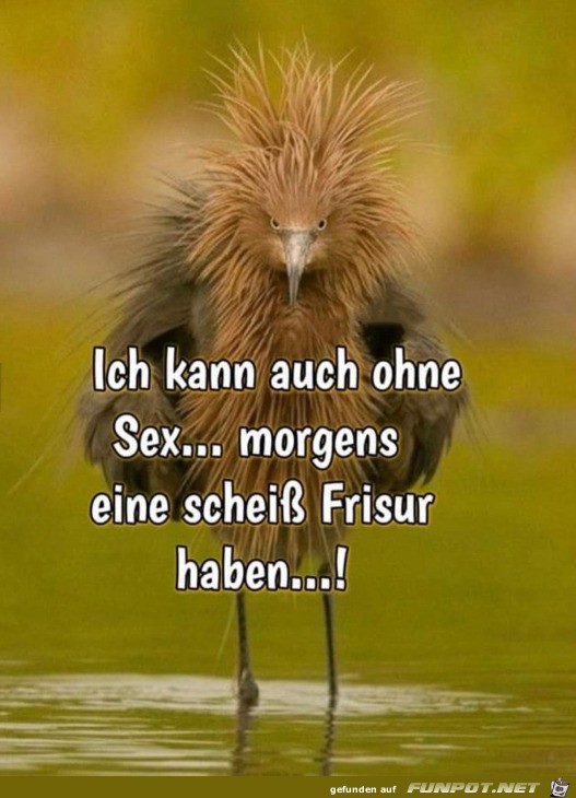 Eine hssliche Frisur