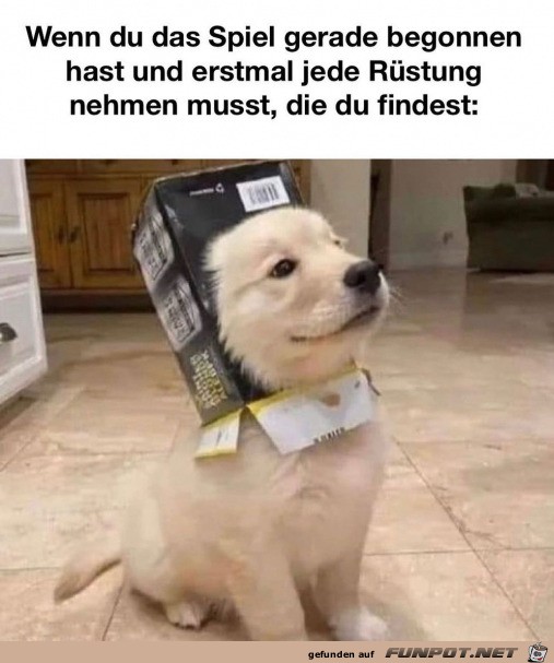 Tolle Rstung