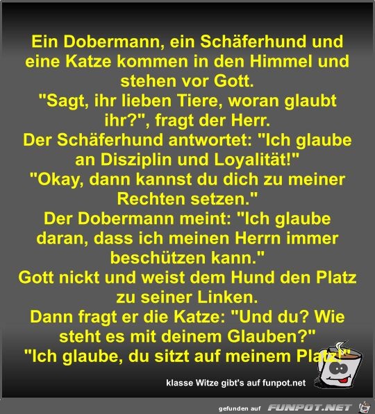 Ein Dobermann, ein Schäferhund und eine Katze kommen in den Ein Dobermann, ein Schäferhund und eine Katze kommen in den