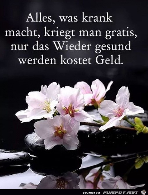 Leider wahr Leider wahr