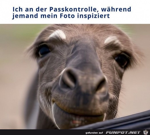 Ich an der Passkontrolle