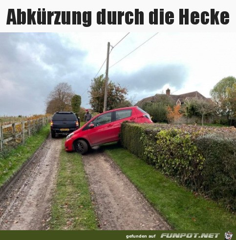 Abkrzung genommen