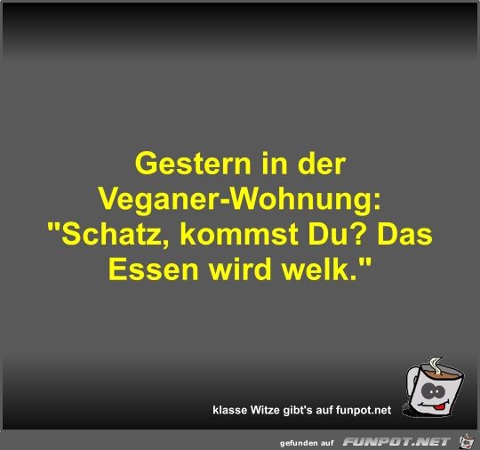 Gestern in der Veganer-Wohnung Gestern in der Veganer-Wohnung