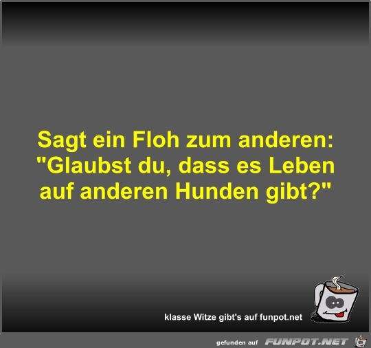 Sagt ein Floh zum anderen