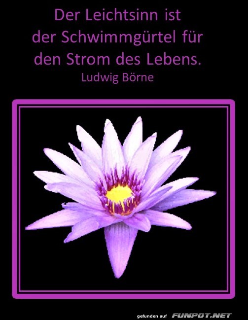 Der Leichtsinn Der Leichtsinn