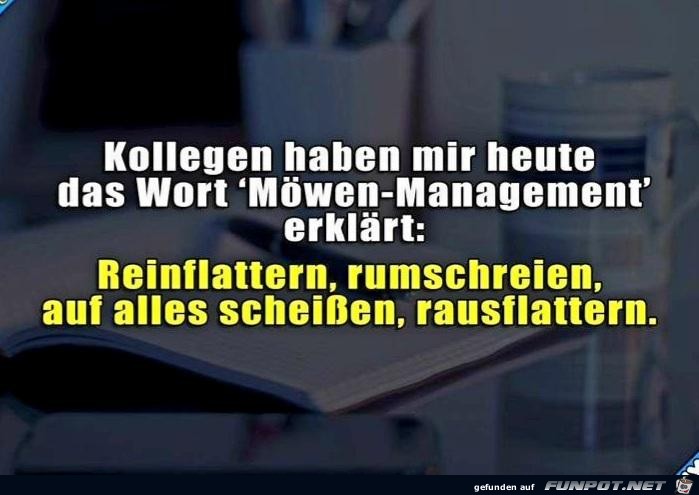 Möwen-Management Möwen-Management