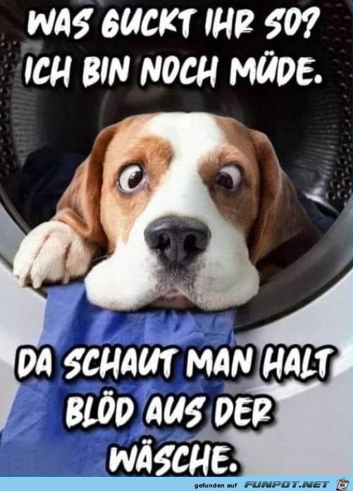 Bin noch mde