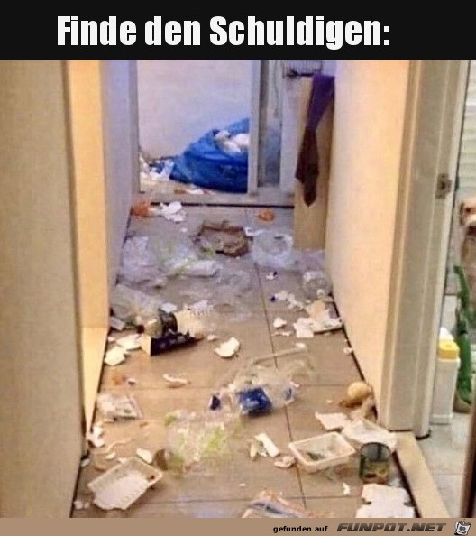 Wo ist der Schuldige?