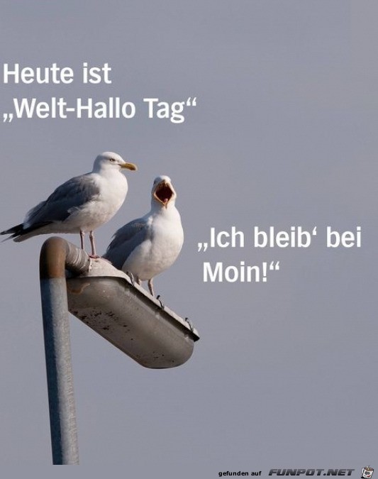 Welt-Hallo-Tag