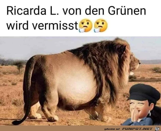 Vermisst