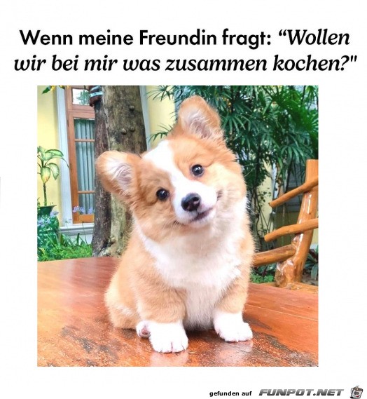 Zusammen kochen