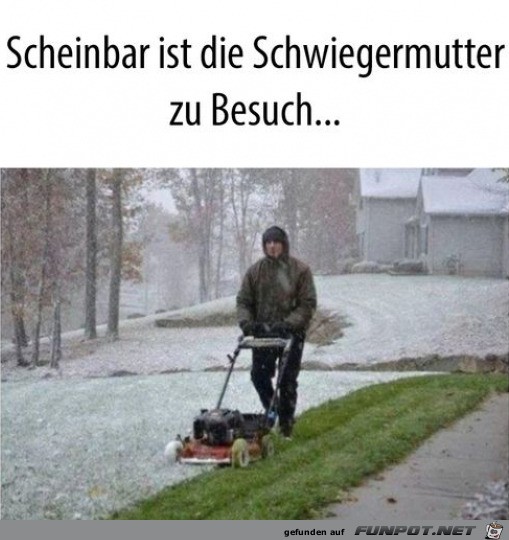 Schwiegermutter zu Besuch Schwiegermutter zu Besuch