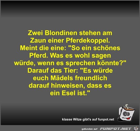 Zwei Blondinen stehen am Zaun einer Pferdekoppel