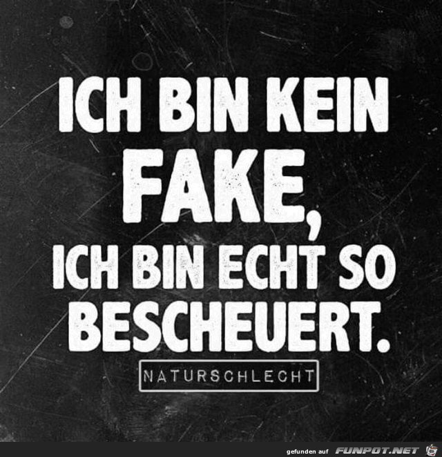 Kein Fake