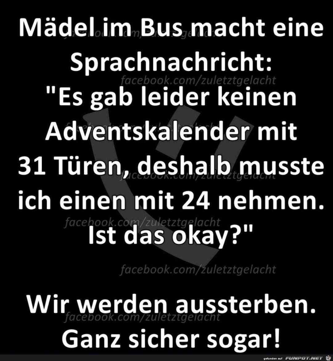 Mdel im Bus