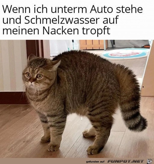 Das ist kalt