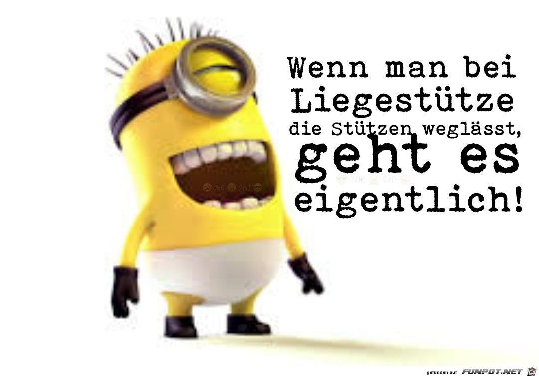 Liegestütze Liegestütze