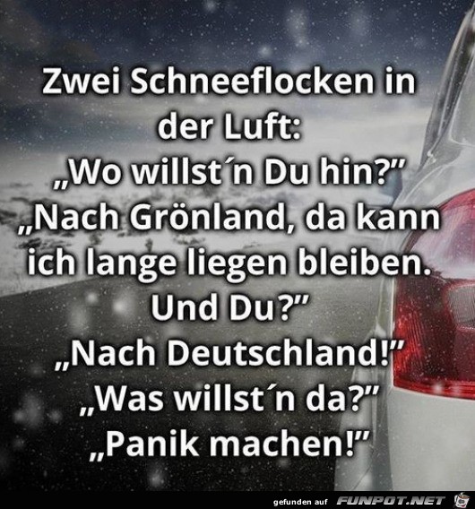 Zwei Schneeflocken unterhalten sich