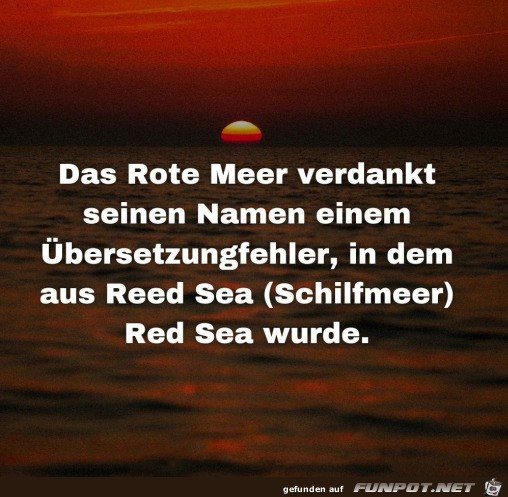 Das Rote Meer