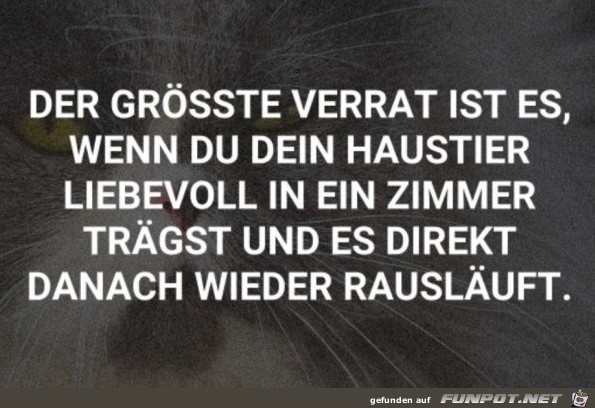 Der grsste Verrt