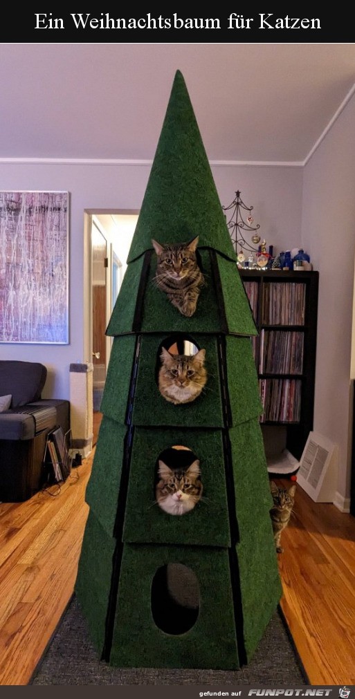 Weihnachtsbaum fr Katzen