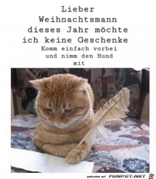 Was sich die Katze wnscht