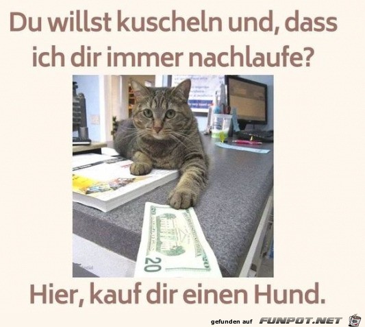 Kauf dir einen Hund