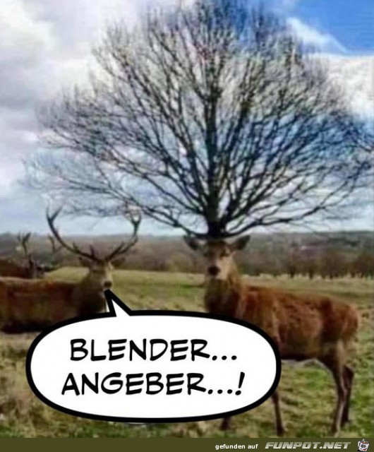 Angeber