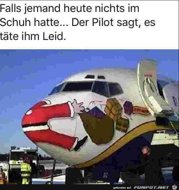 Der Pilot sagt