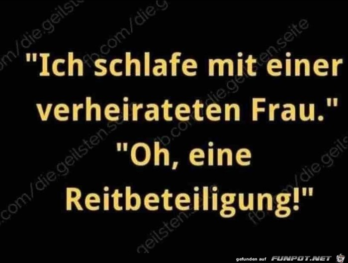 Reitbeteiligung Reitbeteiligung