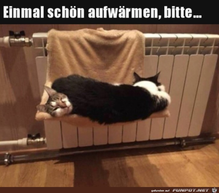 Einmal aufwrmen