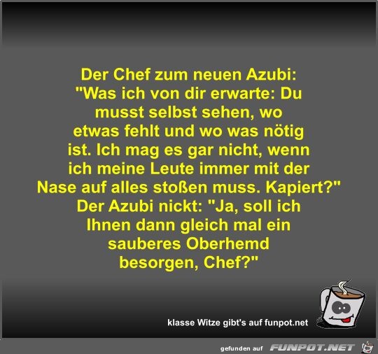 Der Chef zum neuen Azubi