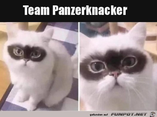 Panzerknacker