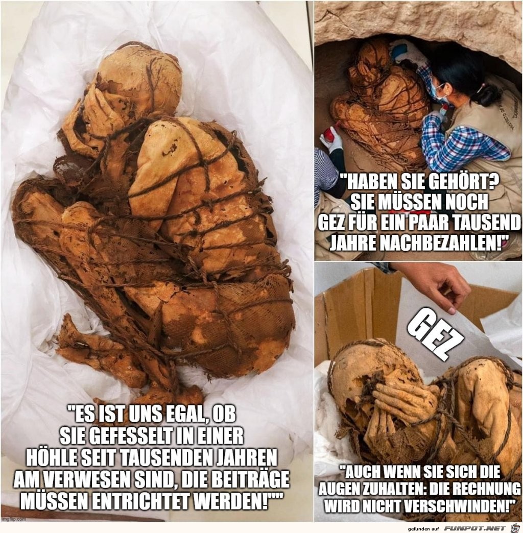 Die Gebhren sind zu zahlen