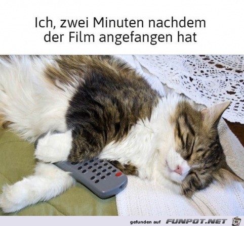 Mde vor dem Fernseher