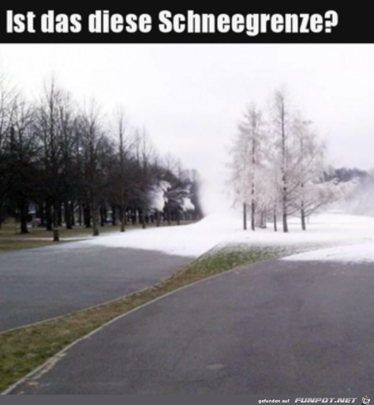 Schneegrenze