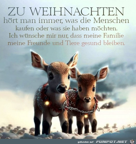 Zu Weihnachten