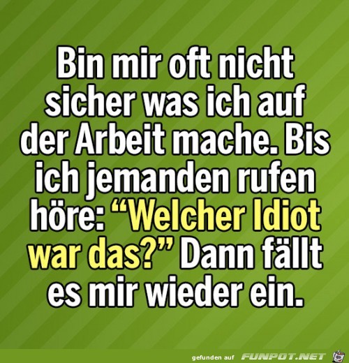 Welcher Idiot