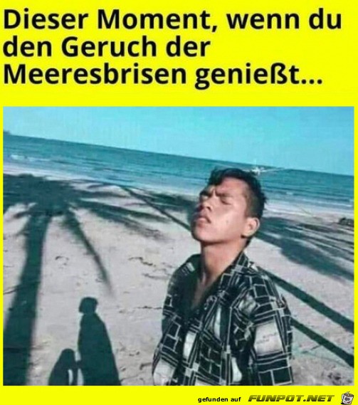 Dieser Moment - beachte den Schatten