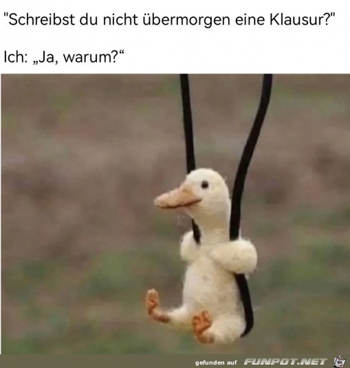 Keine Lust zum lernen